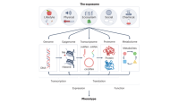 a graphic of the exposome ecosystem consisting of genome, epigenome, transcriptome, metabolome, proseome